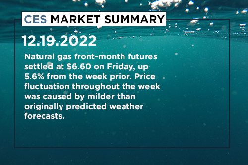 CES-Market-Summary-December 13-16-2022
