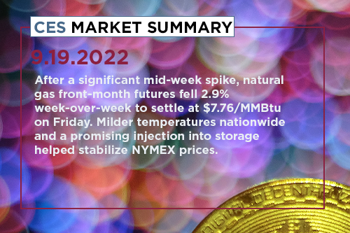 CES-Market-Summary